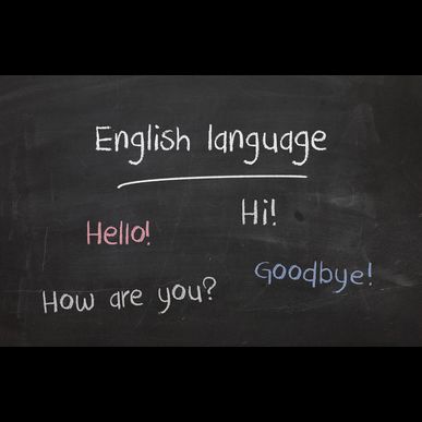 横須賀で英語のプレスクールをお探しでしたらぜひご利用をご検討ください